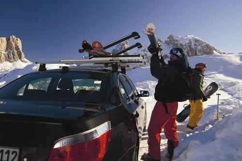 Ski Carrier